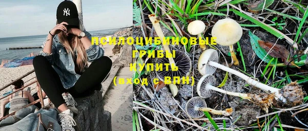 mdpv Майский