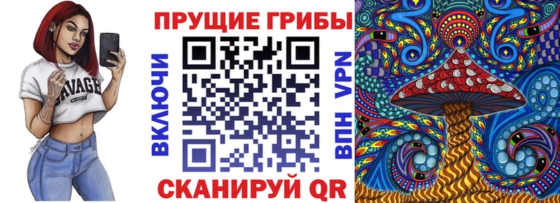 Галлюциногенные грибы ЛСД  Купить закладки  Хадыженск 
